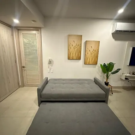 Lujoso Apto - Acceso Directo A La Playa Apartamento *